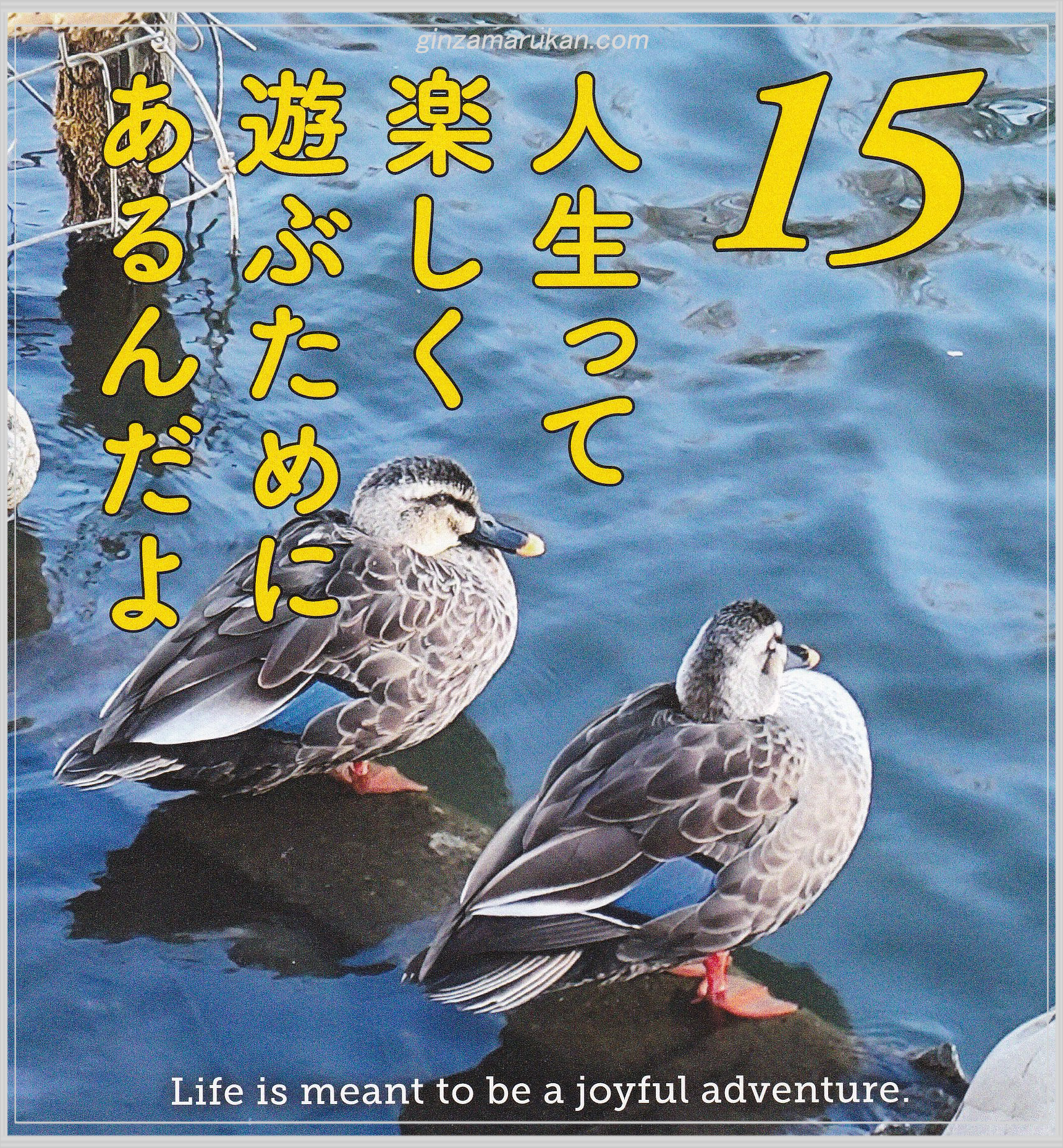 びっくり美肌 ホワイトセット | 銀座まるかんオンラインショップ