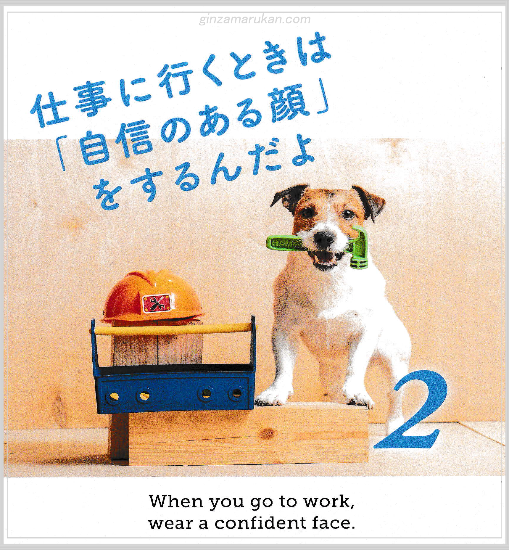 超！美人スタイル | 銀座まるかんオンラインショップ【ゆうきのお店】