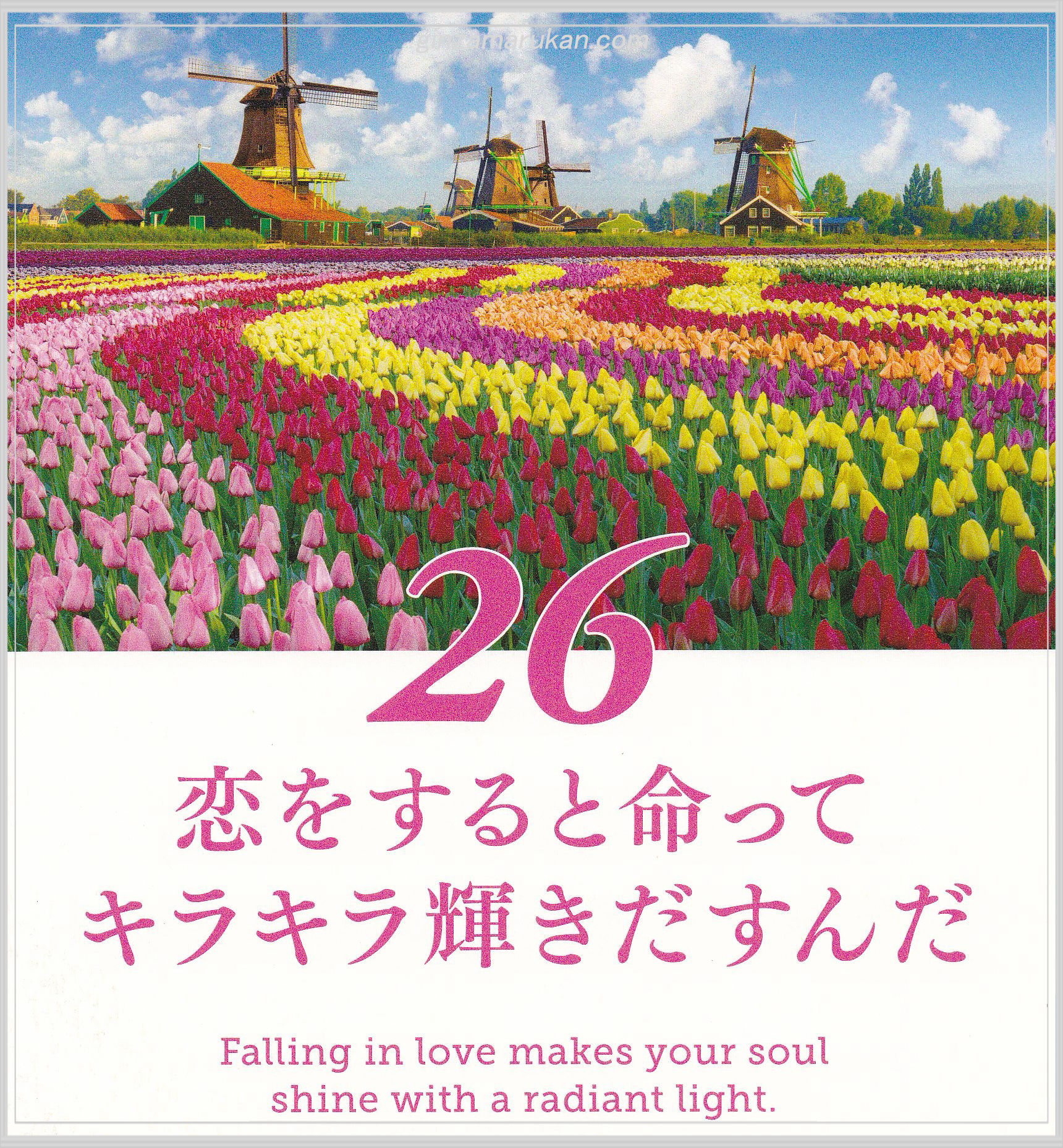 🌈斎藤一人🌈ひめくりカレンダー「愛する人へのメッセージ31