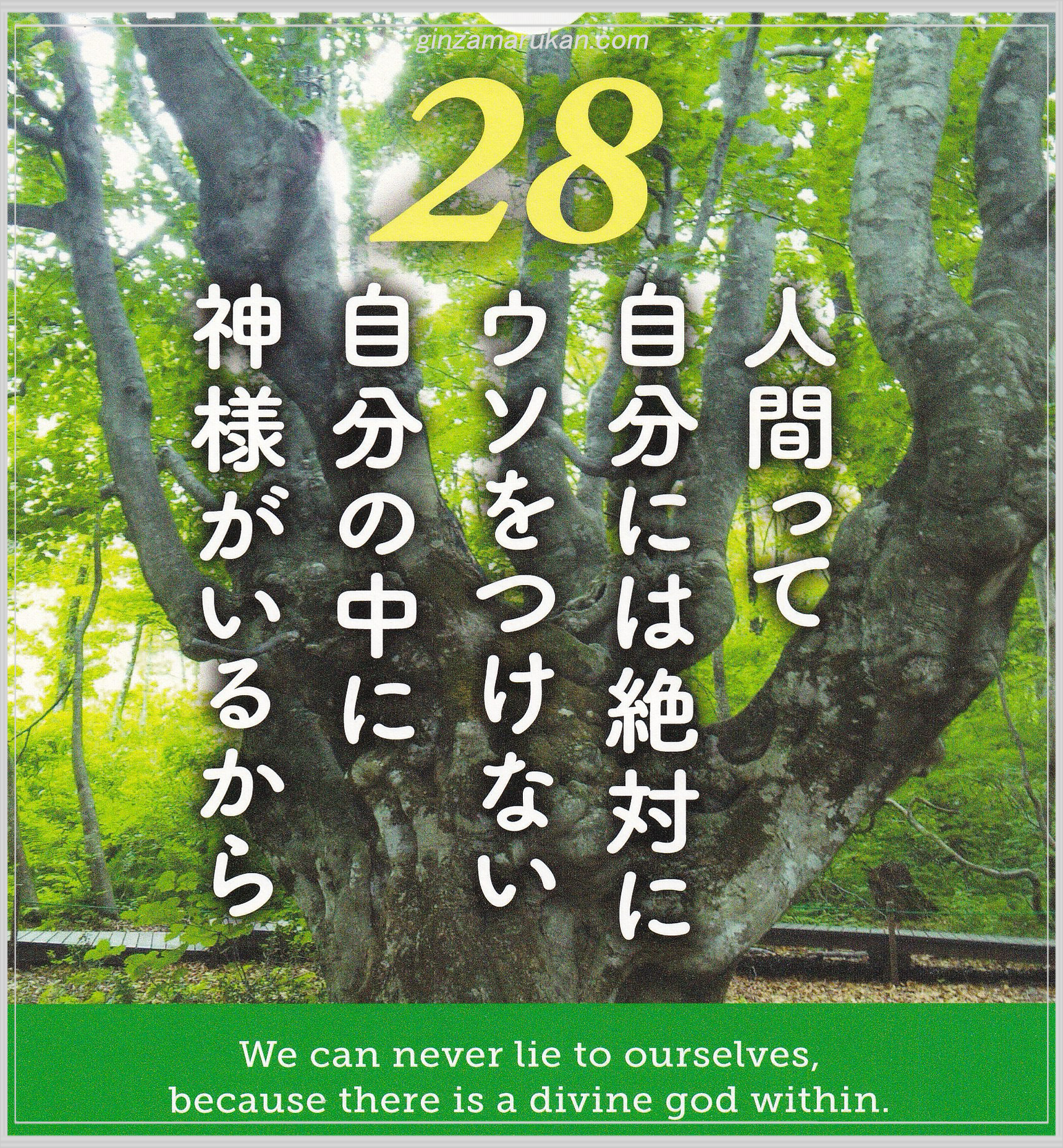 ひとりさん化粧水+美容液+ハリピンつやクリーム 2025年開運大判ポスター付き ひとりさん化粧水+美容液+ハリピンつやクリーム 2025年開運干支石けん