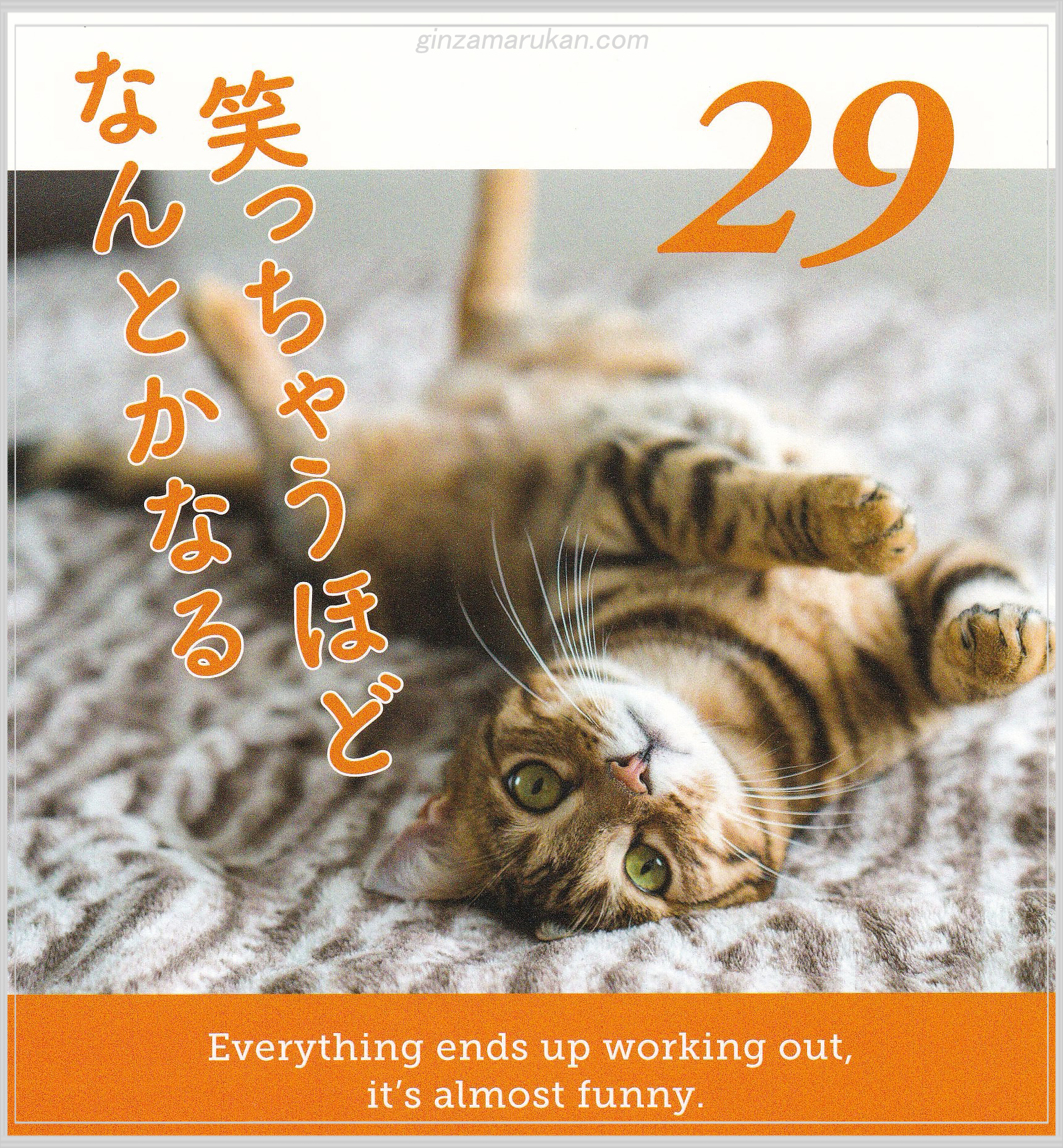 銀座まるかん ウルトラびっくりスタイル Amazon.co.jp: 銀座まるかん ウルトラびっくりスタイル 165g 【3個